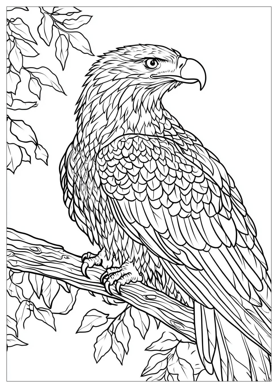 Adler Ausmalbilder 23
