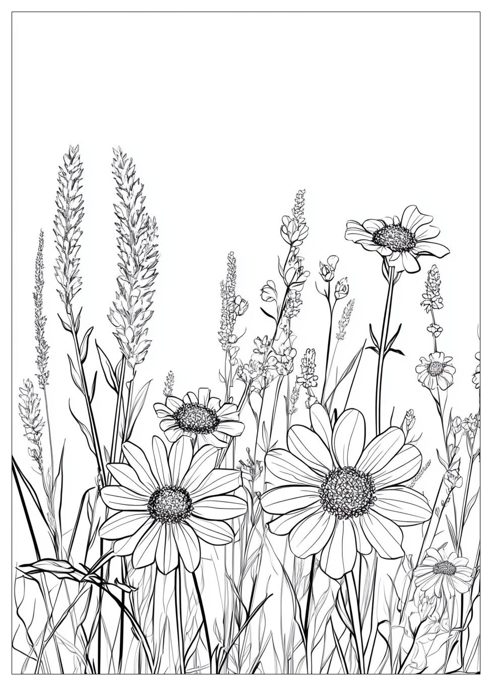 Blumenwiese Ausmalbilder 5