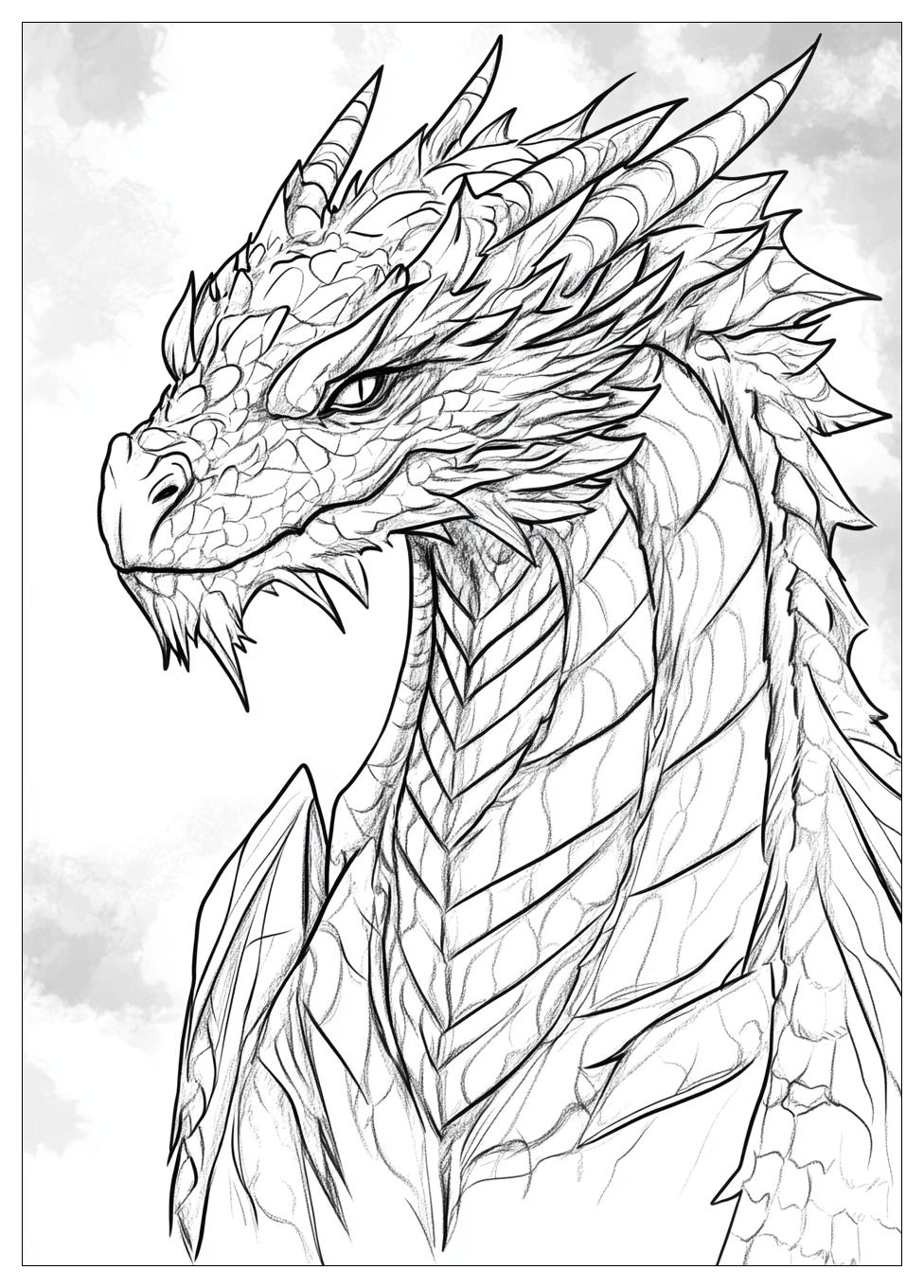 Drachen Ausmalbilder 13
