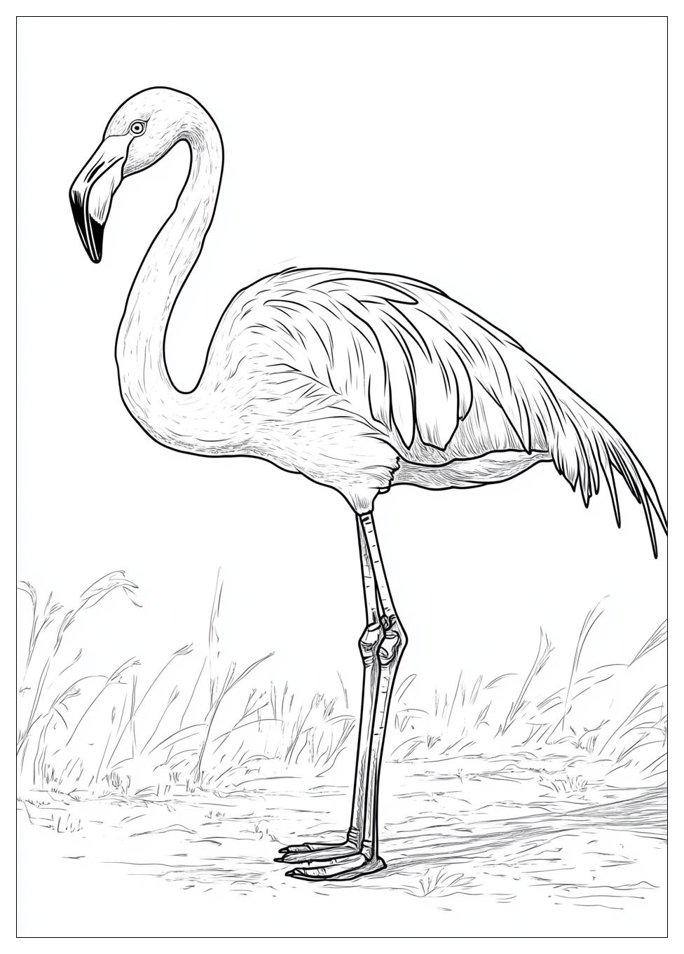 Flamingo Ausmalbilder 5