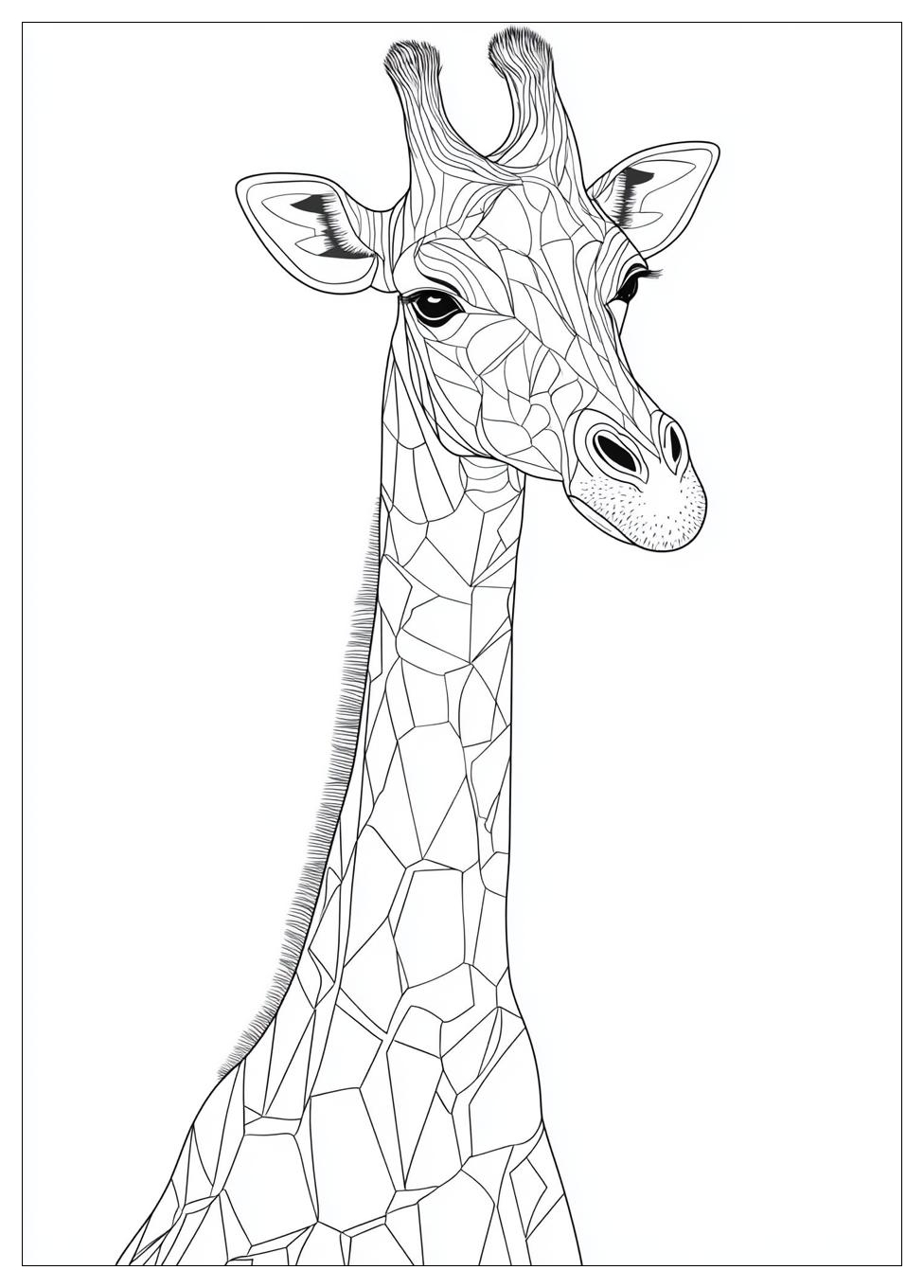 Giraffe Ausmalbilder 24