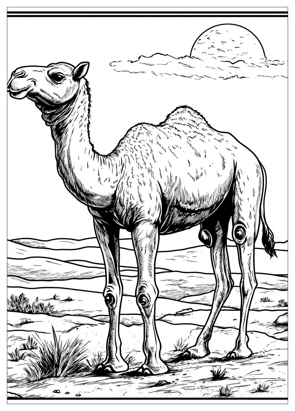 Kamel Ausmalbilder 10