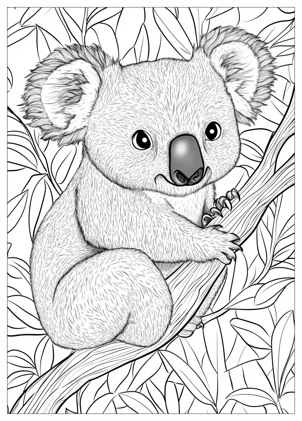 Koala Ausmalbilder 1