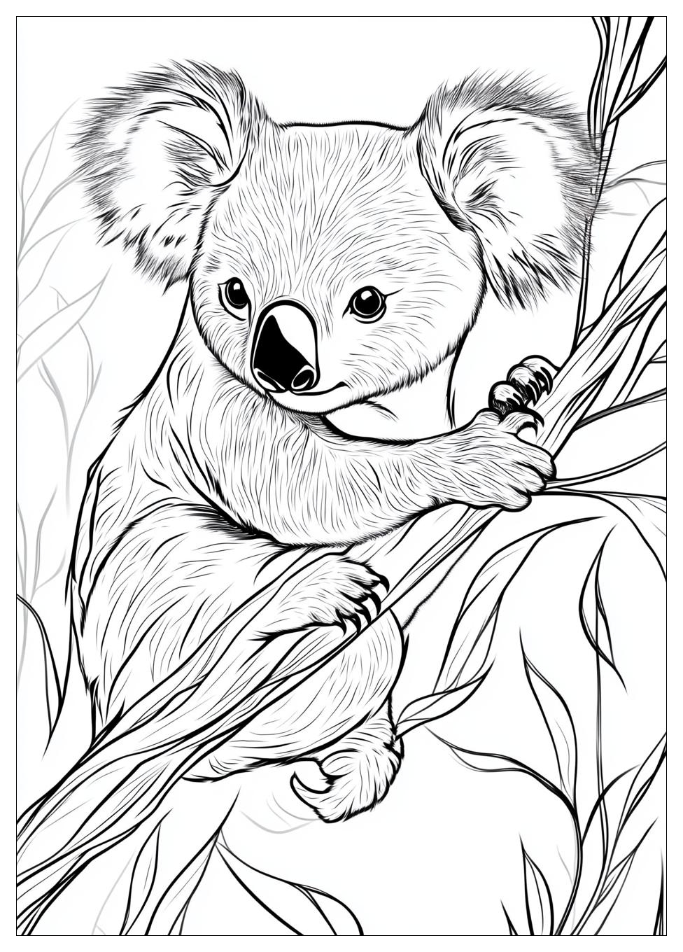 Koala Ausmalbilder 16