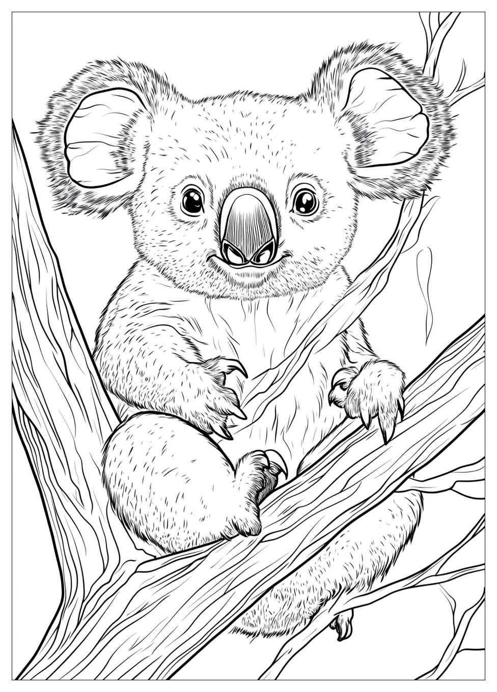 Koala Ausmalbilder 22