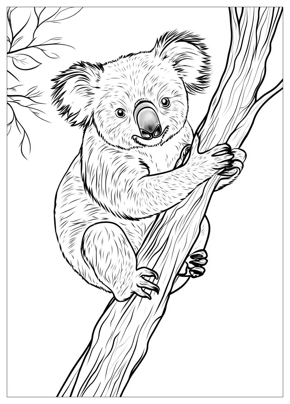 Koala Ausmalbilder 24