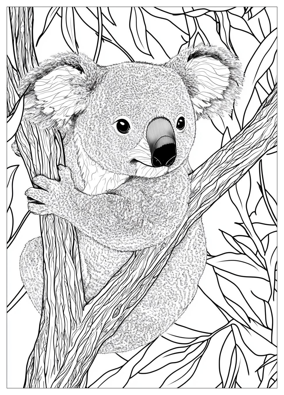 Koala Ausmalbilder 3