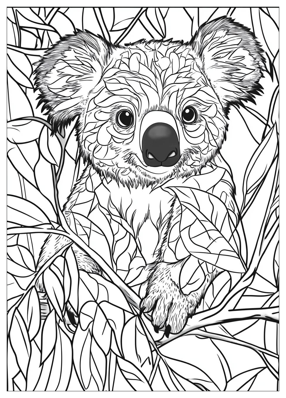 Koala Ausmalbilder 5