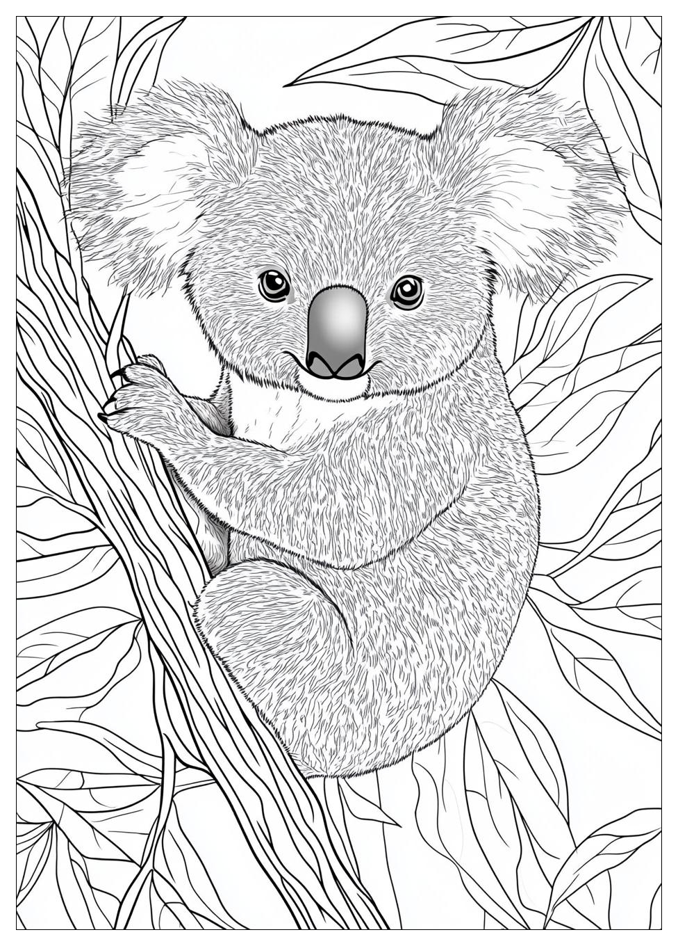 Koala Ausmalbilder 6