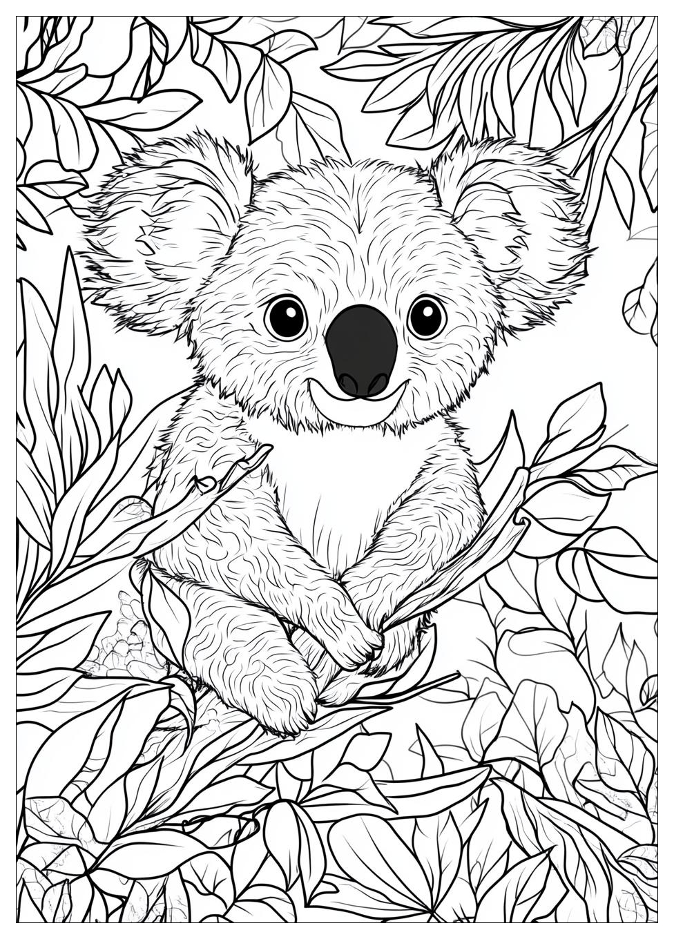 Koala Ausmalbilder 7