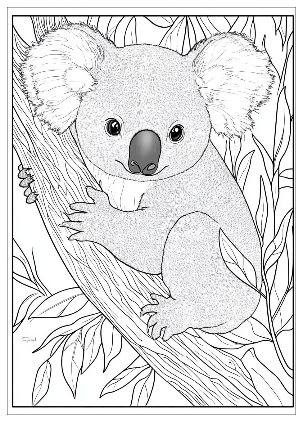 Koala Ausmalbilder 8