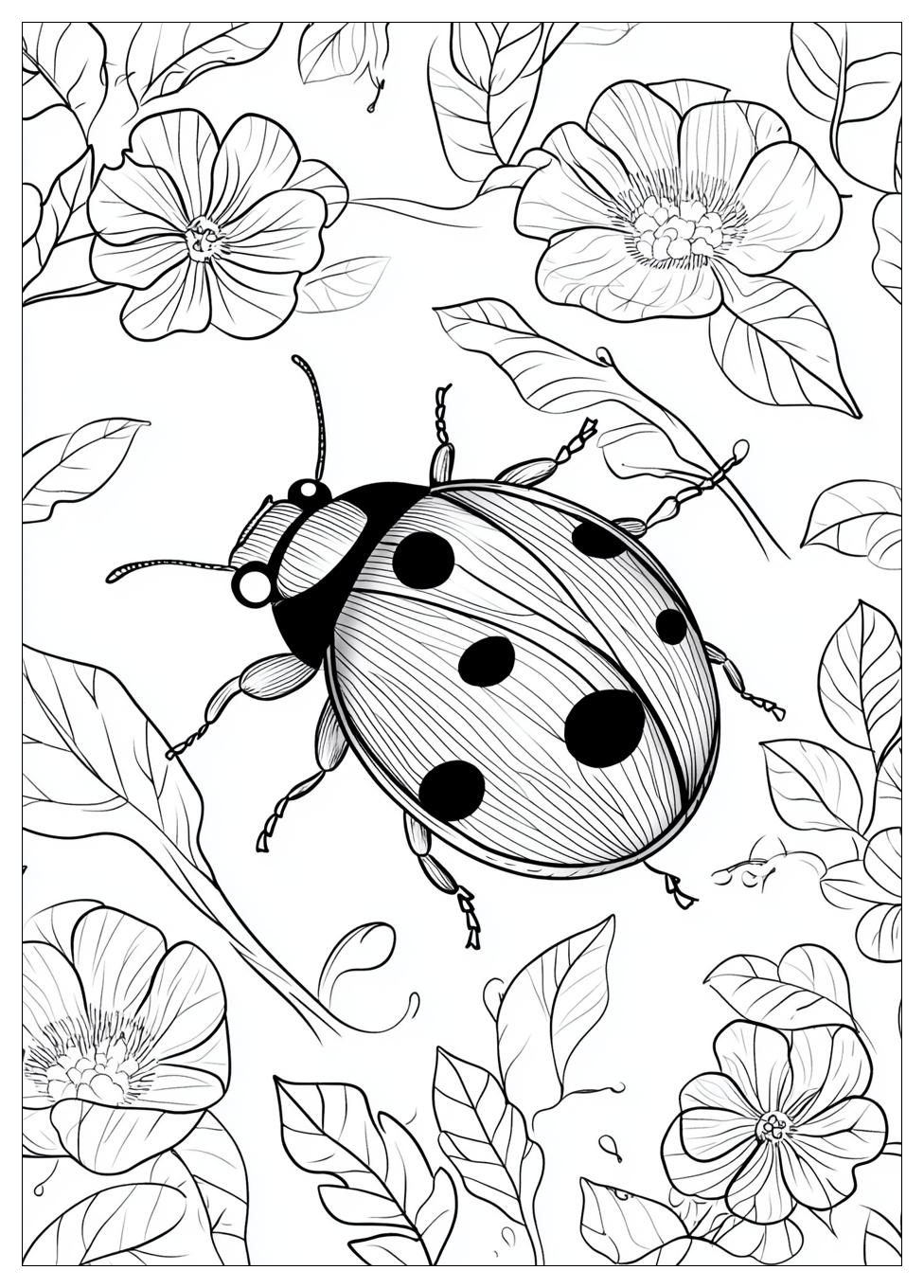 Ladybug Ausmalbilder 17