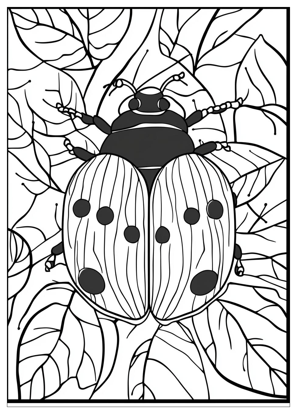 Ladybug Ausmalbilder 8