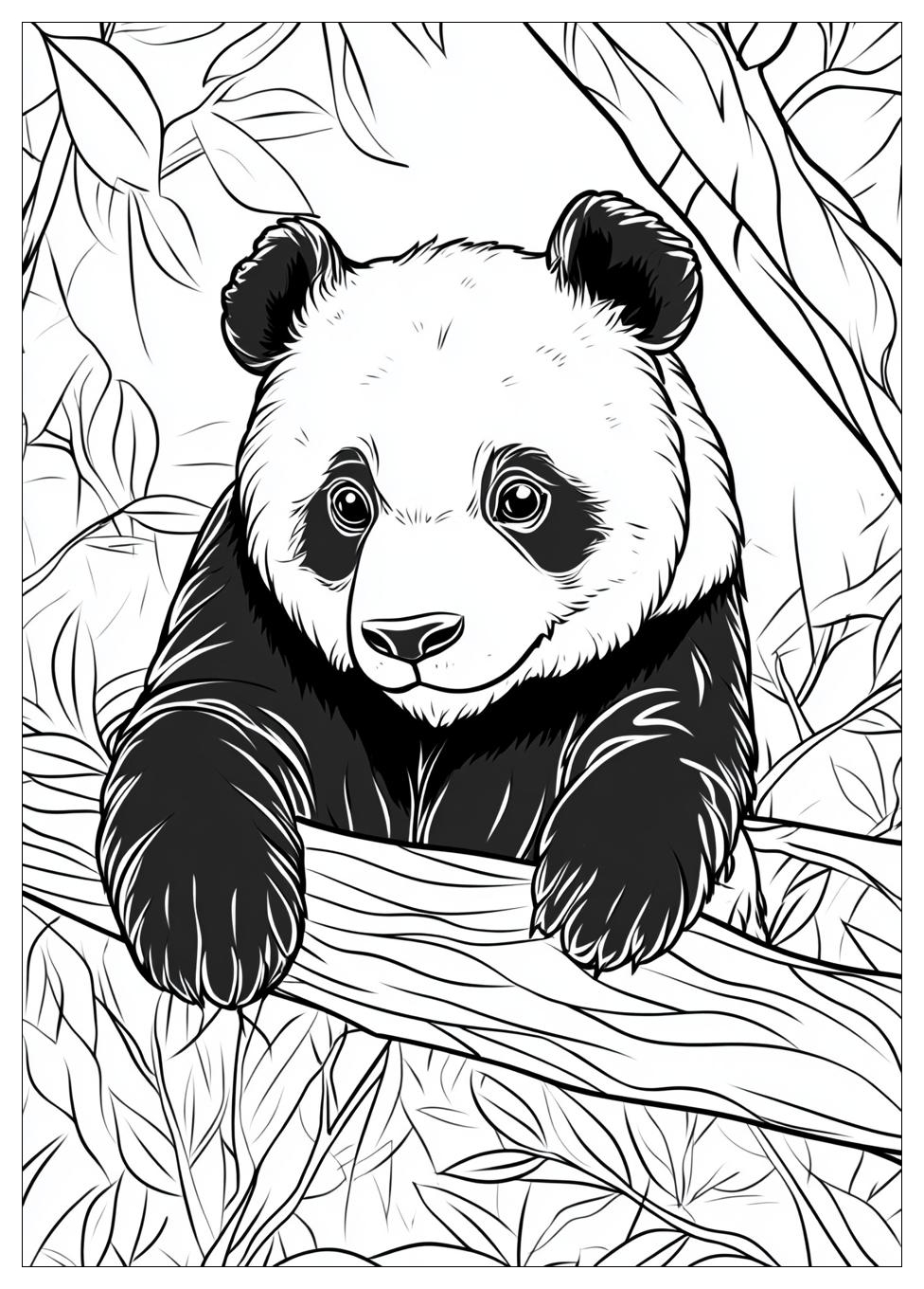 Panda Ausmalbilder 11