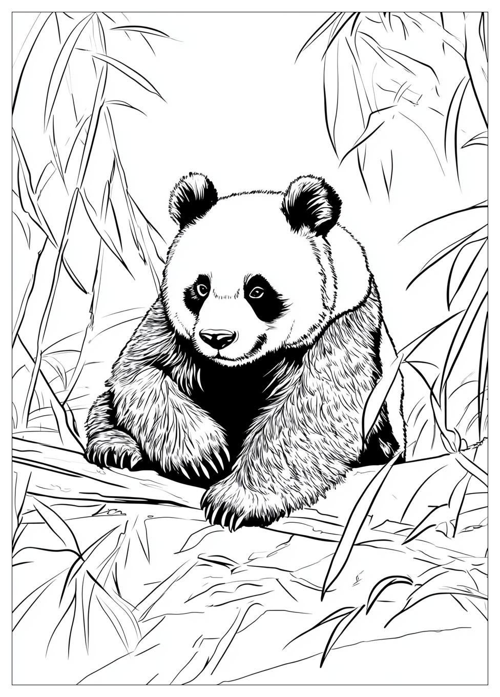 Panda Ausmalbilder 23