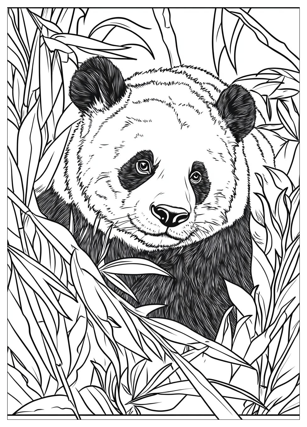 Panda Ausmalbilder 24