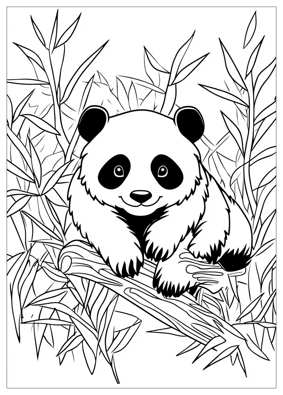 Panda Ausmalbilder 5