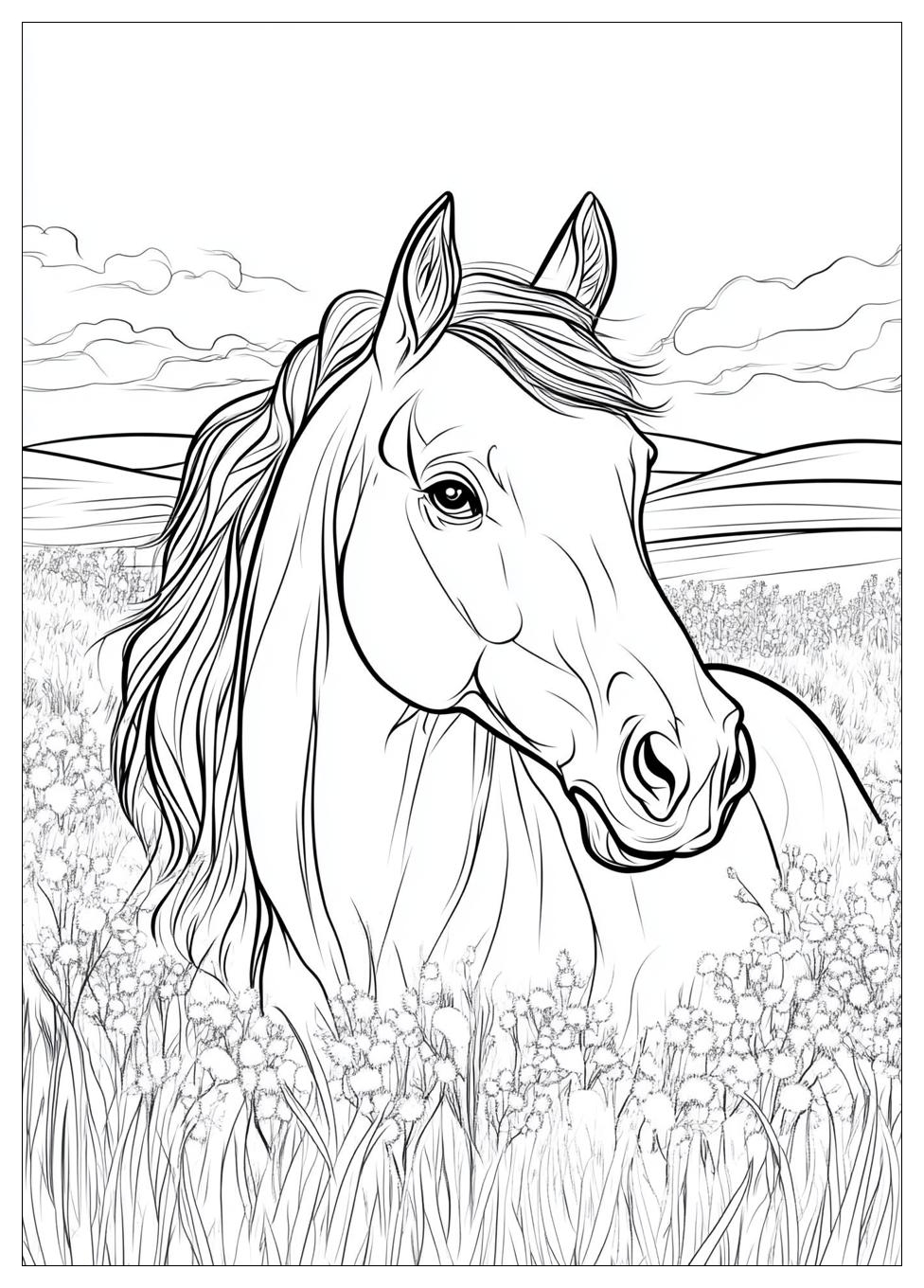 Pferd Ausmalbilder 12