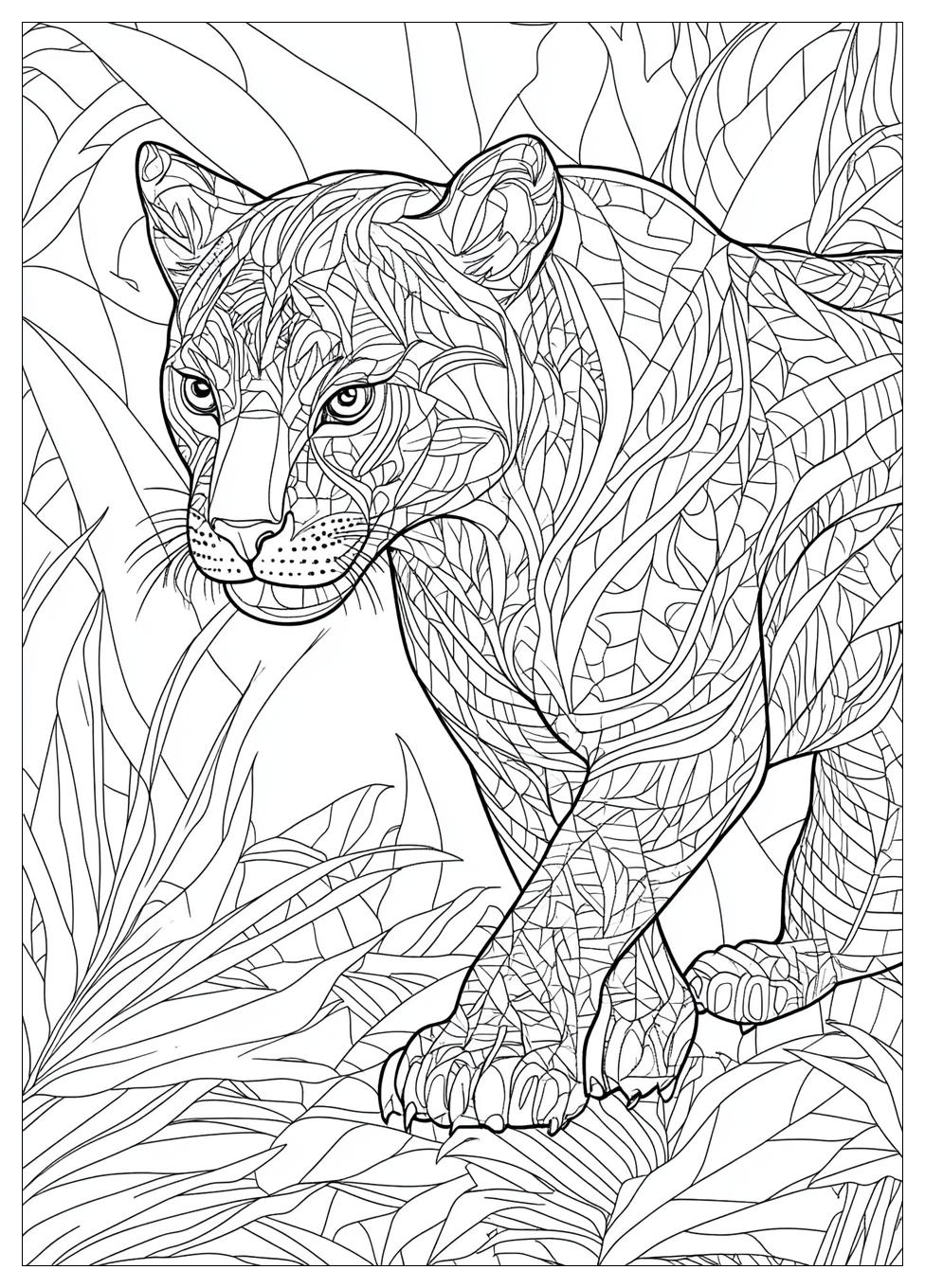 Puma Ausmalbilder 16