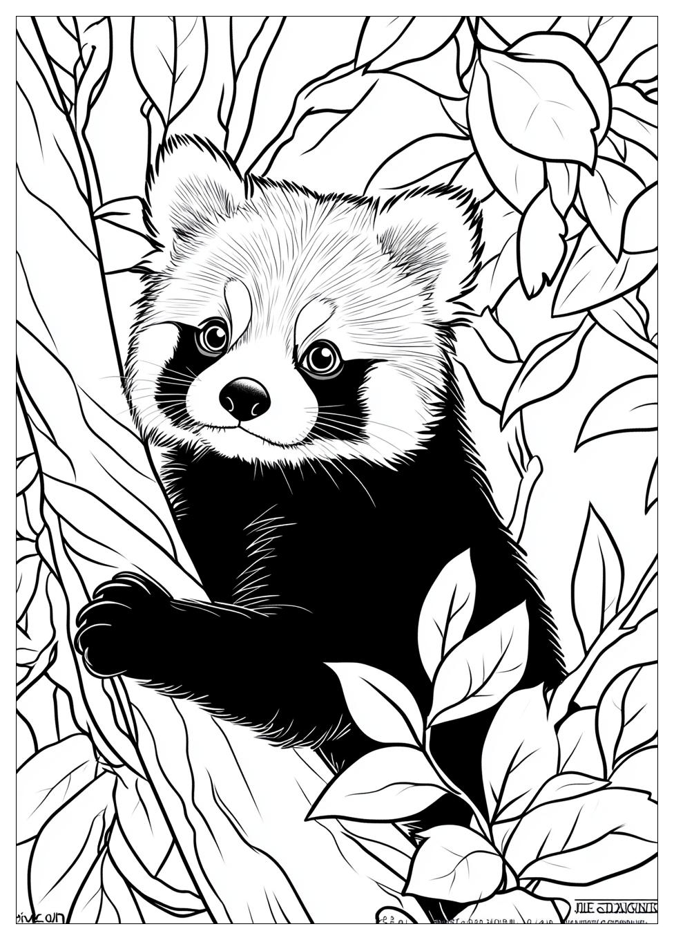Roter Panda Ausmalbilder 1