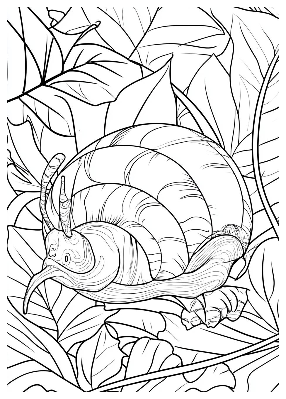 Schnecke Ausmalbilder 12