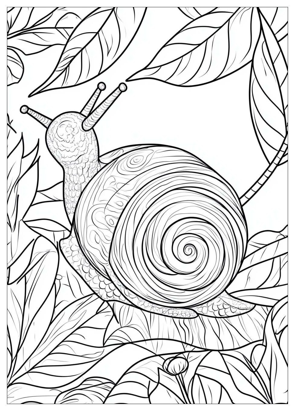 Schnecke Ausmalbilder 3