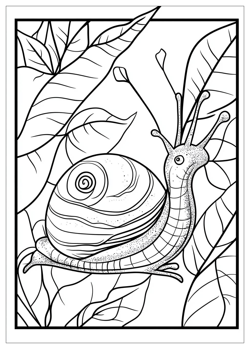 Schnecke Ausmalbilder 4