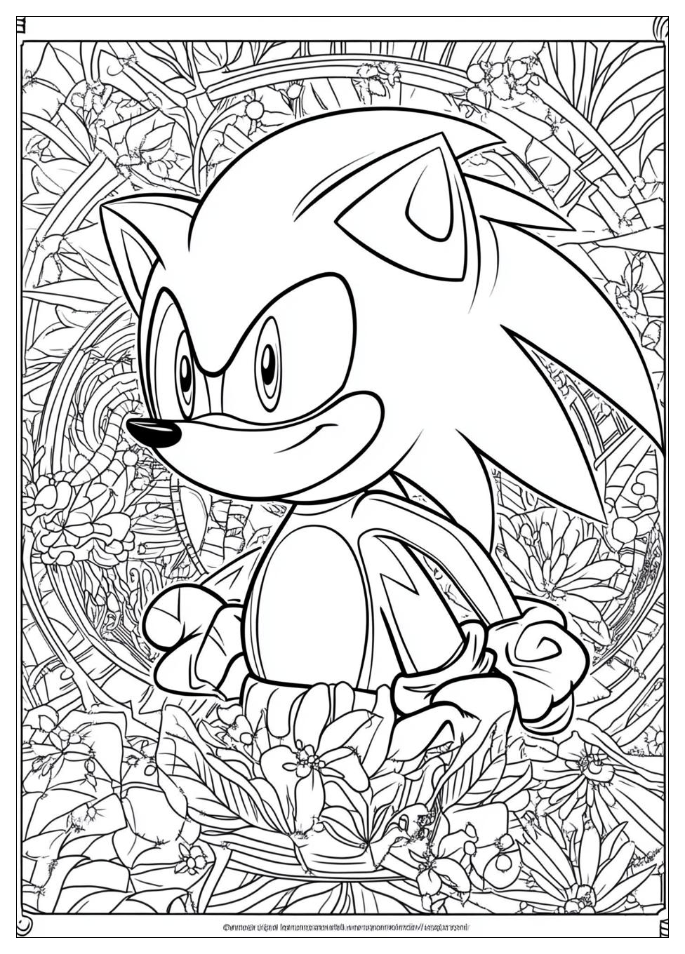 Sonic Ausmalbilder 23