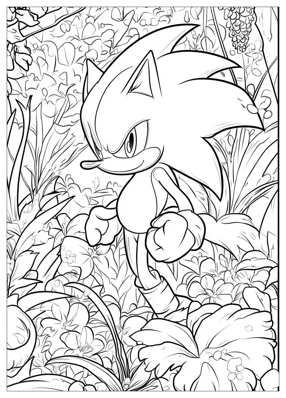 Sonic Ausmalbilder 6